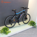 2020 New Fashioned men riding MTB 36v 250w electric mountain bicycle